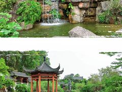 -广州神农草堂中医药博物馆