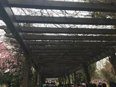 -白马涧龙池景区