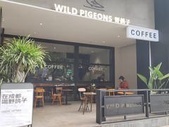 -野鸽子咖啡(航空路店)