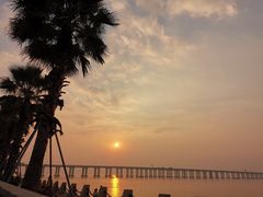 -宝安西湾红树林湿地公园