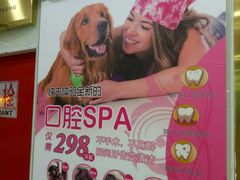 -中农大我爱我爱动物医院(甜水园店)