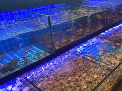 -透明思烤·自助烤肉海鲜火锅(东部星悦天地店)