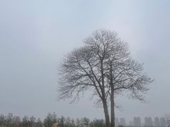 -汉长安城未央宫国家考古遗址公园