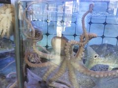 -日照大牌檔•小船海鲜(万平口店)