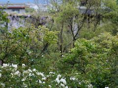 -松赞丽江山居餐厅