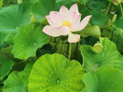 -陶辛水韵