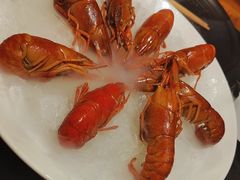 -红盔甲·小龙虾(长寿路店)
