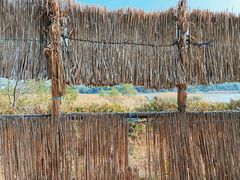 -华侨城湿地公园