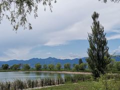 -野鸭湖国家湿地公园