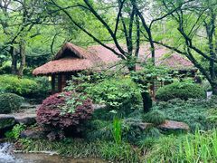 -中国茶叶博物馆(双峰馆区)