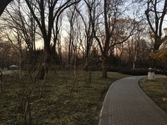 -玲珑塔公园