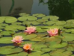 -西北湖绿化广场