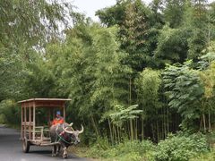 -杭州双溪漂流景区