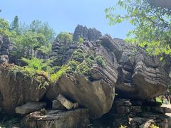 -梭布垭石林景区