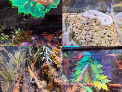 -正佳雨林生态植物园