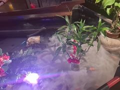 -红蜡烛-养生粥-津鲁菜(中山路店)