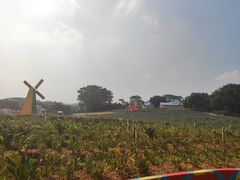 -松山湖梦幻百花洲