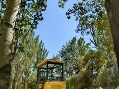 -艾提尕尔清真寺