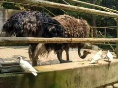 -燕塞湖鸟语林景区