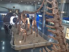 -国家自然博物馆