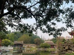 -顺峰山公园