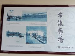 -咸阳湖景区-古渡公园