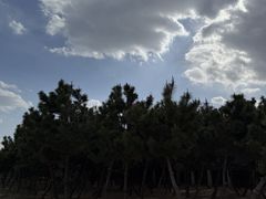 -山东八大碗山东老字号