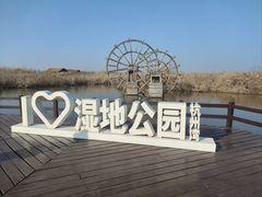 -宁波杭州湾国家湿地公园