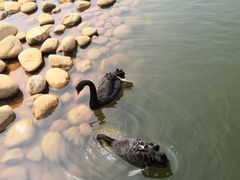 -鄱阳湖国家湿地公园