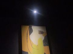 -梵猫·新养生(加州广场店)