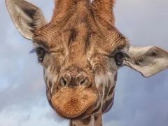 -上海动物园(地铁站)