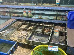 -锐记美食店·现捞海鲜(闸坡店)