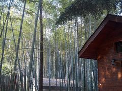 -苏州河梦清园环保主题公园