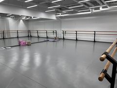 -中央芭蕾舞团·中芭艺蕾(酒仙桥明星校区)
