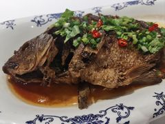 -肥肥小厨(咸阳路店)