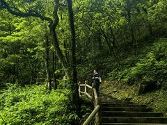 -西岭雪山大飞水景区