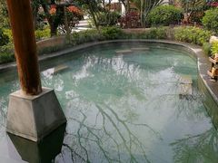 -苏州湾王焰温泉度假酒店