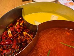 -青瓷火锅料理(西单大悦城店)