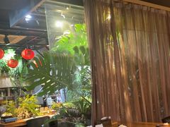 -森味薪火烧•烧鸟居酒屋•日本料理(望京店)