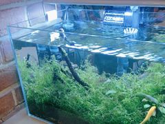 -毛家饭店·融合新湘菜·主题宴(齐鲁软件园店)