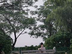 -金银湖国家城市湿地公园