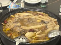 -江川野生菌火锅铜锅鱼(贵清火锅店)