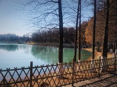-阳澄湖费尔蒙酒店