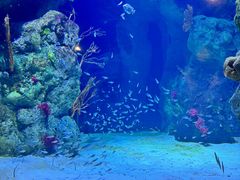 -珠海长隆海洋王国