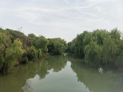 -同里国家湿地公园