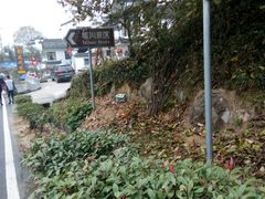 -塔川景区