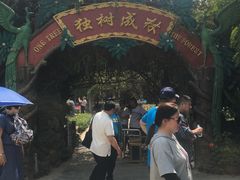 -瑞丽独树成林风景区