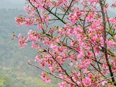 -广州市白云山风景名胜区