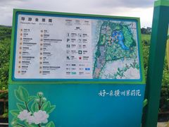 -中华茉莉园