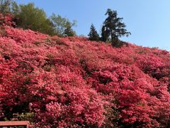 -木兰云雾山